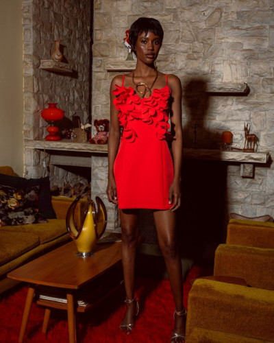 BLAIR DRESS